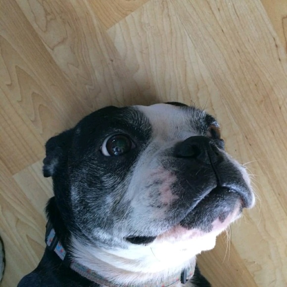 Meet your Posher, Edward - Picture 1 of 1